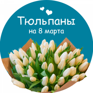 Купить тюльпаны в Новозыбкове